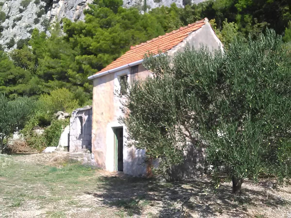 Zorana Apartamento Mimice Exterior foto