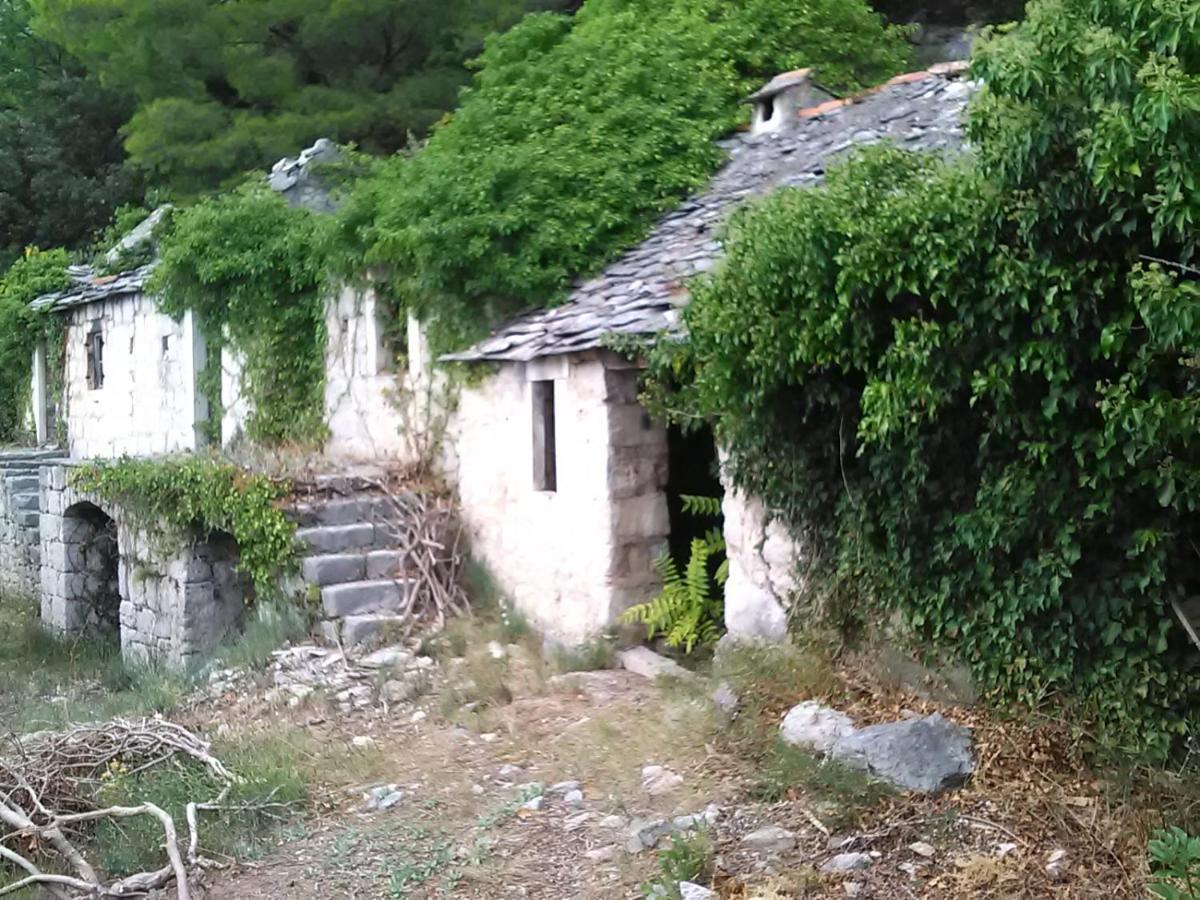 Zorana Apartamento Mimice Exterior foto